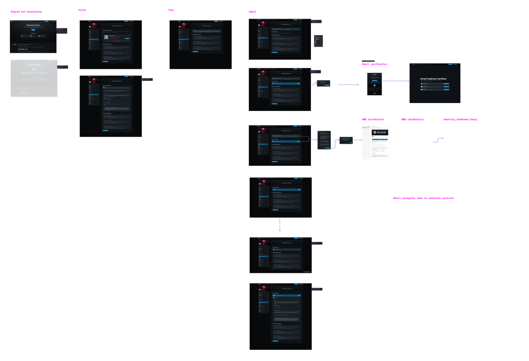 Parental controls and age verification flow